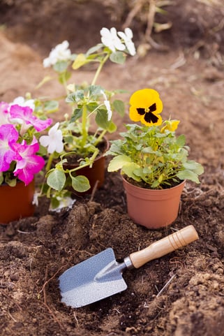 flower-pots-soil-with-tool