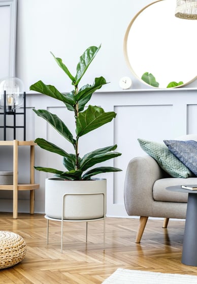 modern-composition-living-room-interior-with-design-sofa-coffee-table-plant-shelf-mirror-pillow-carpet-rattan-pouf-parquet-floor-elegant-presonal-accessories-stylish-home-decor-1