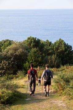 young-men-going-hike-together