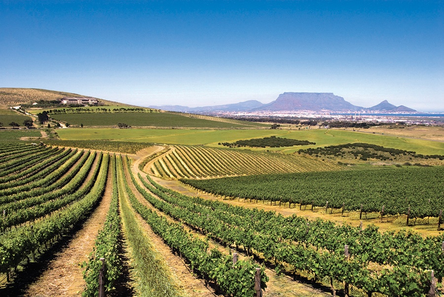 Commercial property in Durbanville